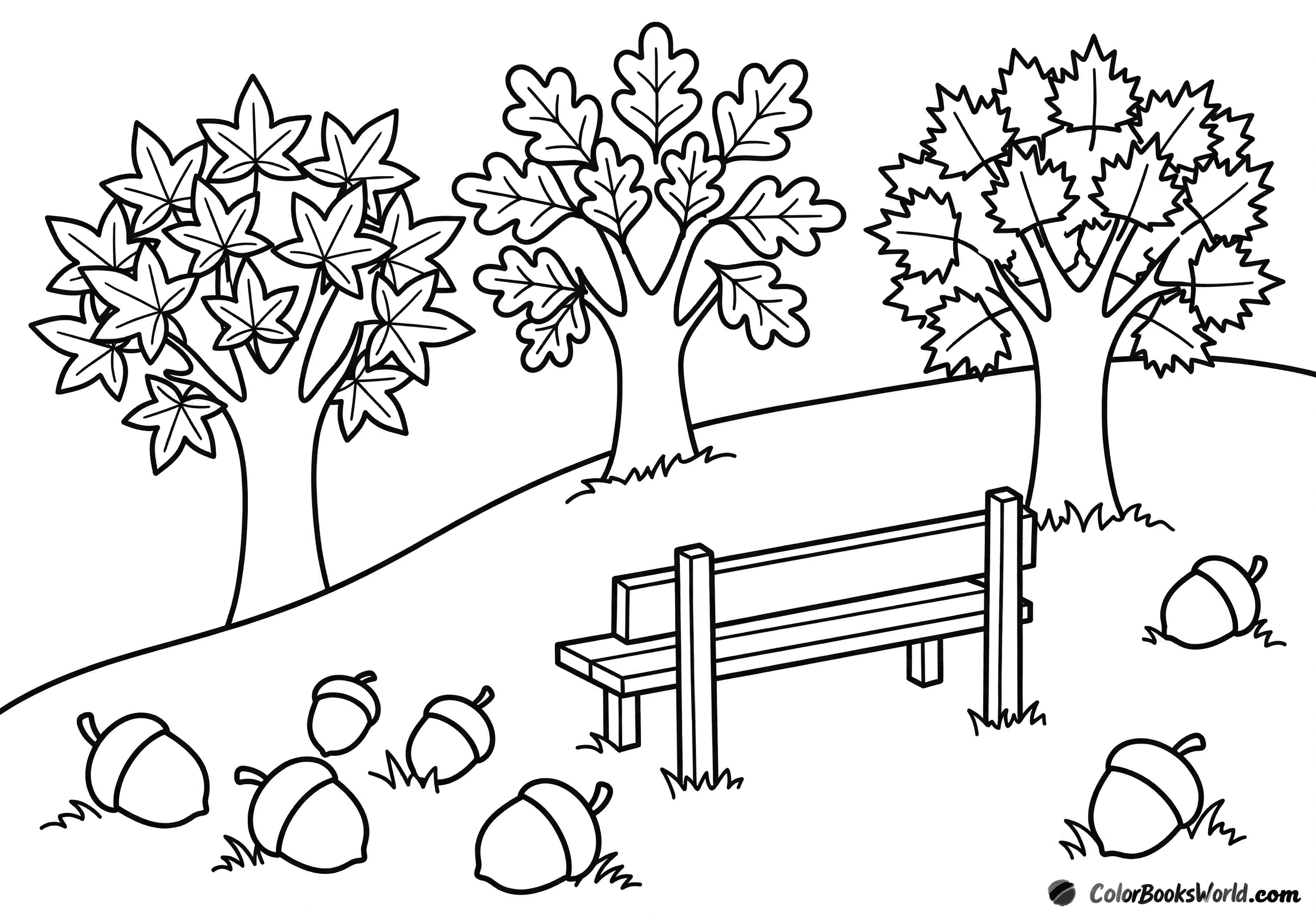 Three maple trees on a sloping hill beside a wooden park bench, with acorns scattered on the grass.