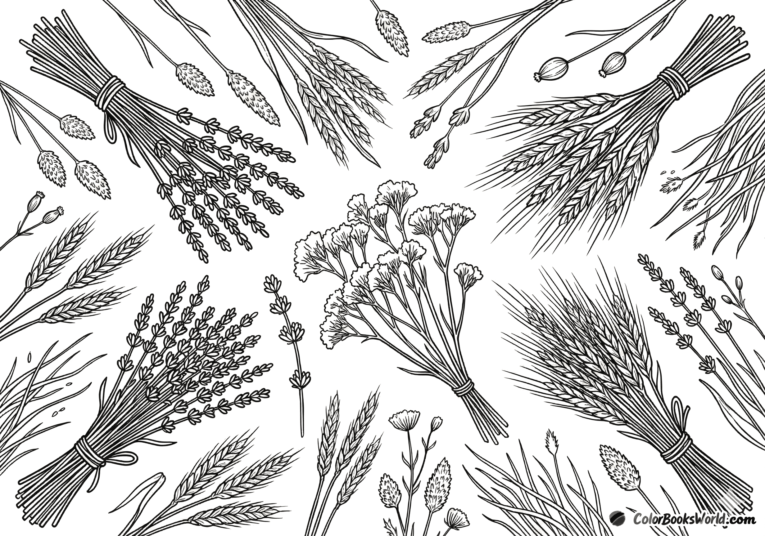 Line art of dried flower bundles with lavender, statice, and wheat stalks arranged together.