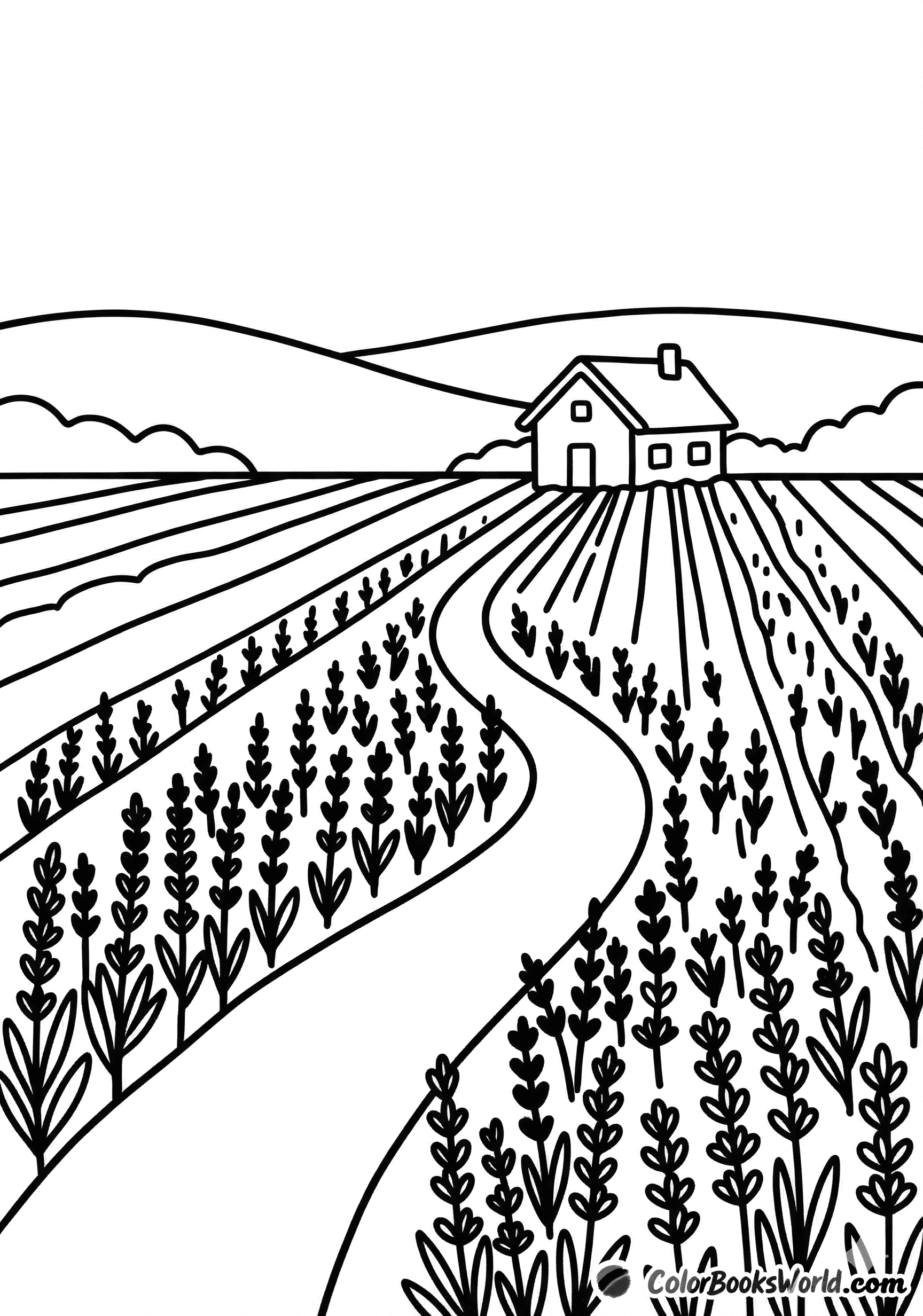 Neat rows of lavender lead to a small cottage, with gentle hills in the background.