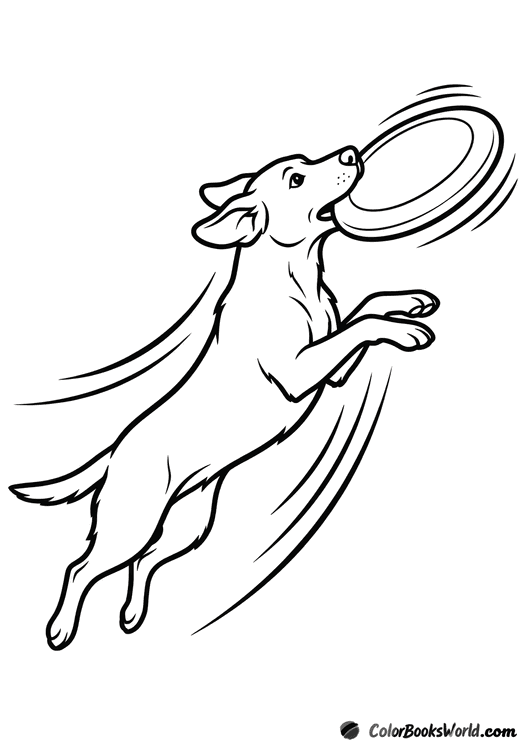 A dog leaps mid-air to catch a large frisbee, with motion lines showing movement.