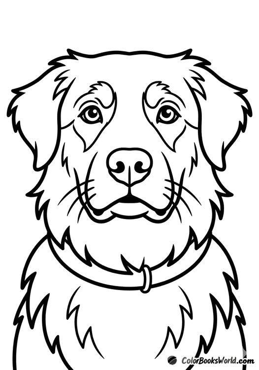 Close-up head-and-shoulders portrait of a friendly dog wearing a simple collar.