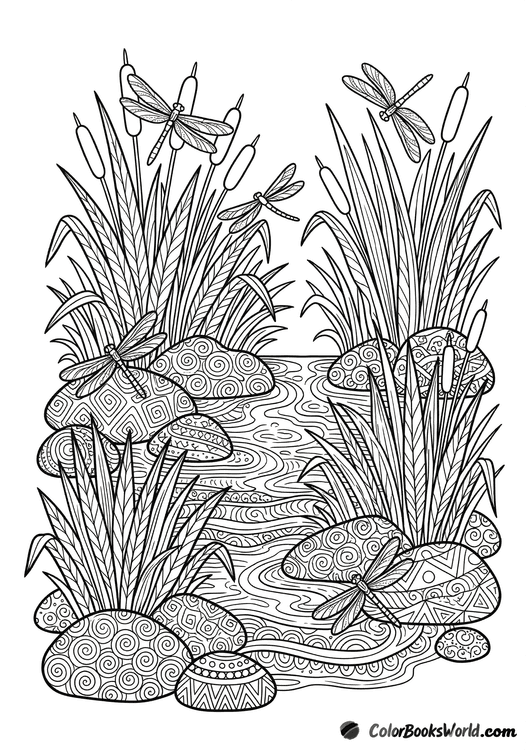 A detailed coloring page featuring dragonflies among tall reeds and patterned stones by a narrow stream.