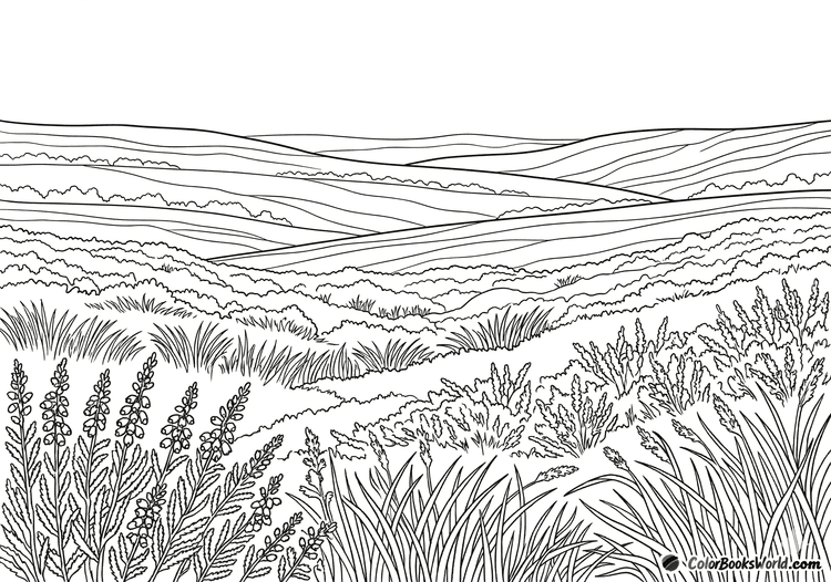 Line art of a heather moorland with blooming heather in the foreground and layered hills behind.