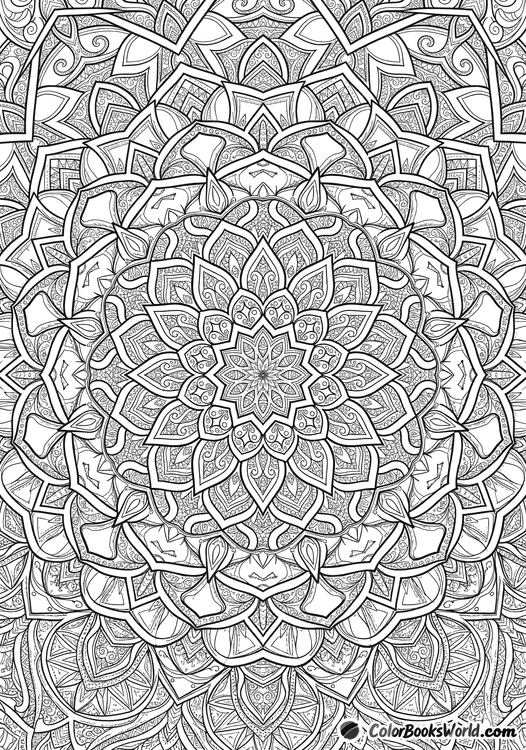 A detailed mandala with concentric rings of stars, petals, and fine geometric patterns for coloring.