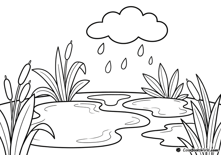 Large meadow puddles with water plants as big raindrops fall from a single cloud above.