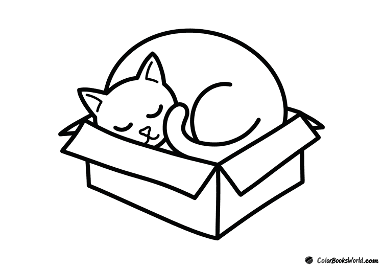 A sleepy cat curled up for a nap inside a simple cardboard box.
