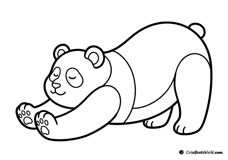 A cute panda stretching with an arched back and front legs extended.