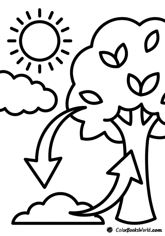 Large simple tree with sun, cloud, and bold arrows showing leaves returning nutrients to the soil.