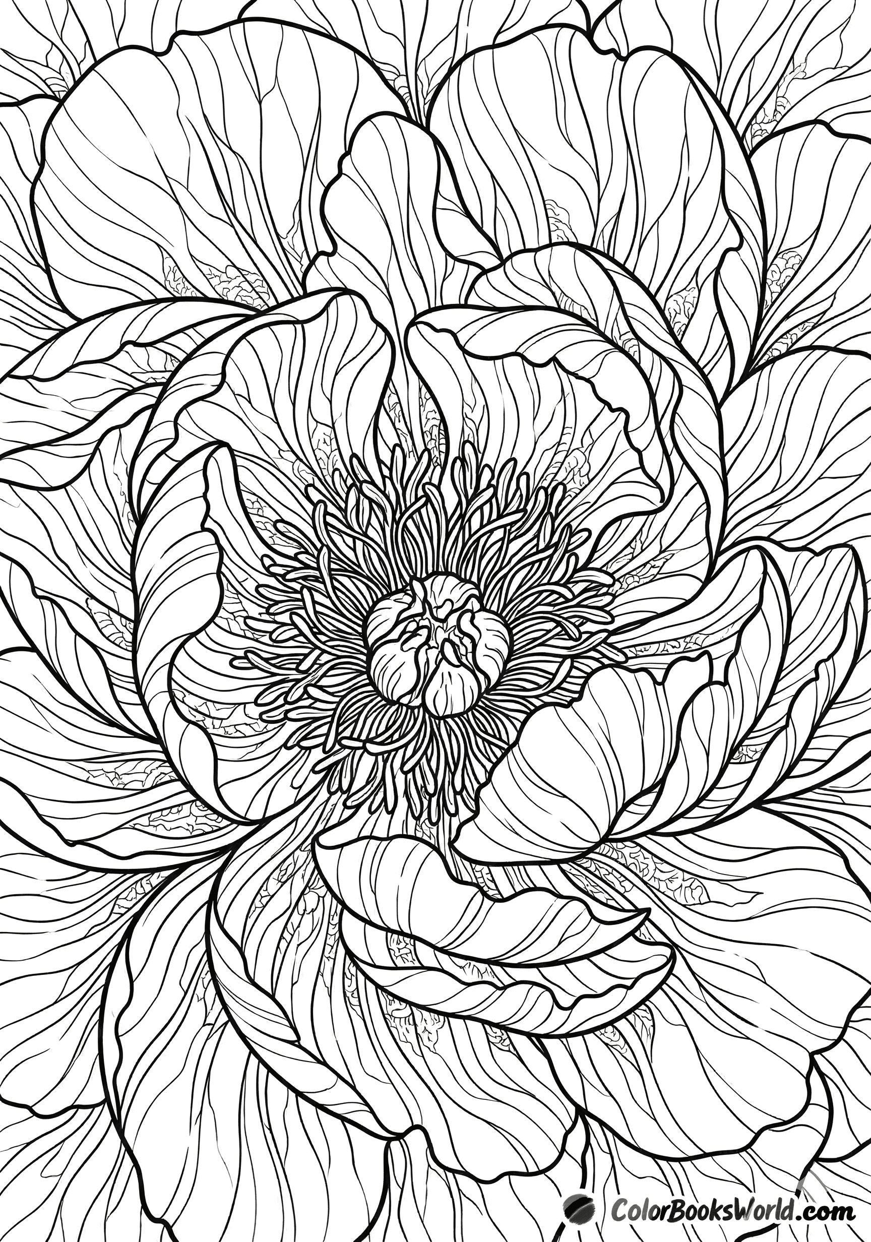 Macro close-up of a peony flower with layered petals and visible stamens in the center.