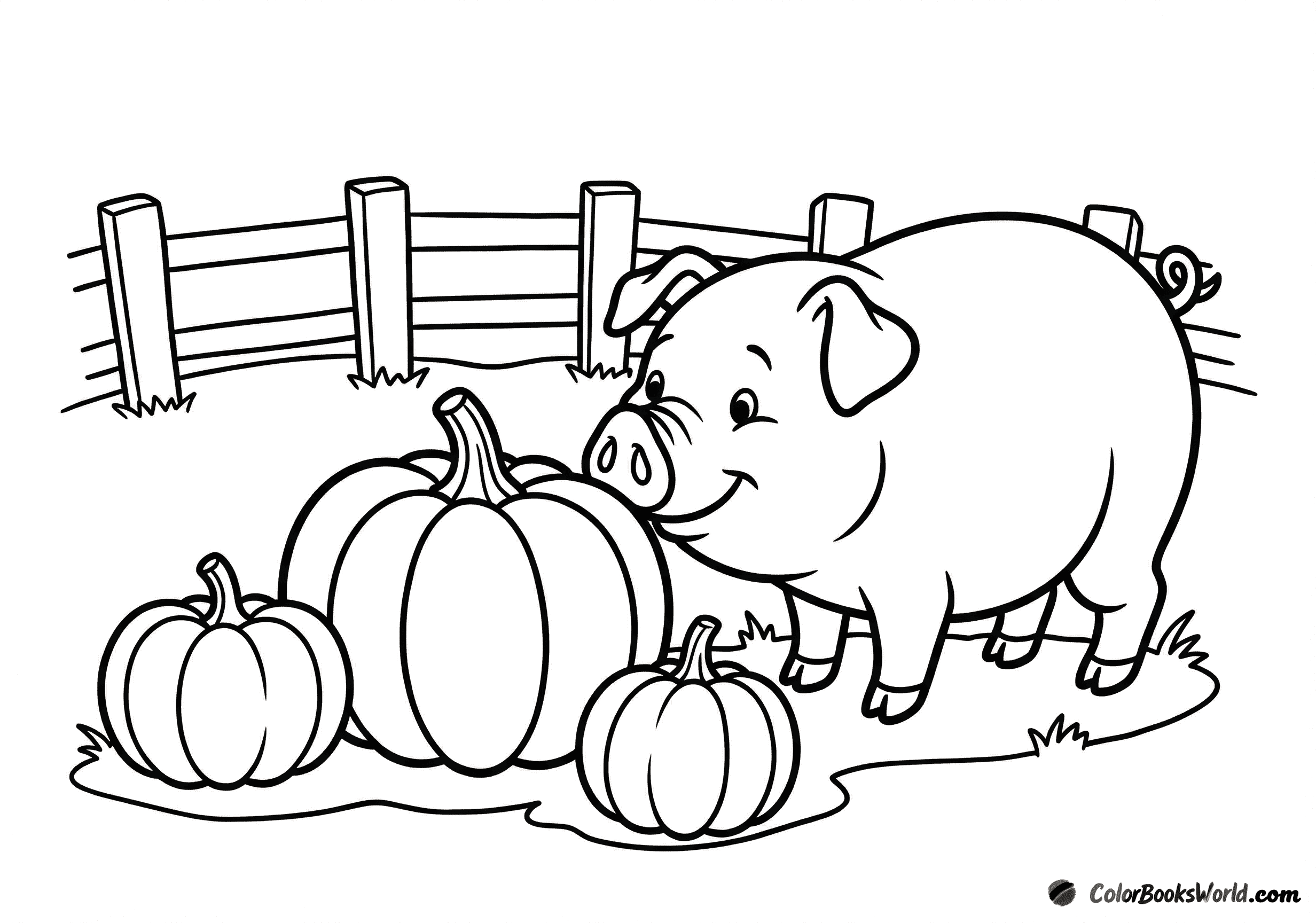 A cute piglet sniffs a large pumpkin in a pumpkin patch, with a wooden fence behind.