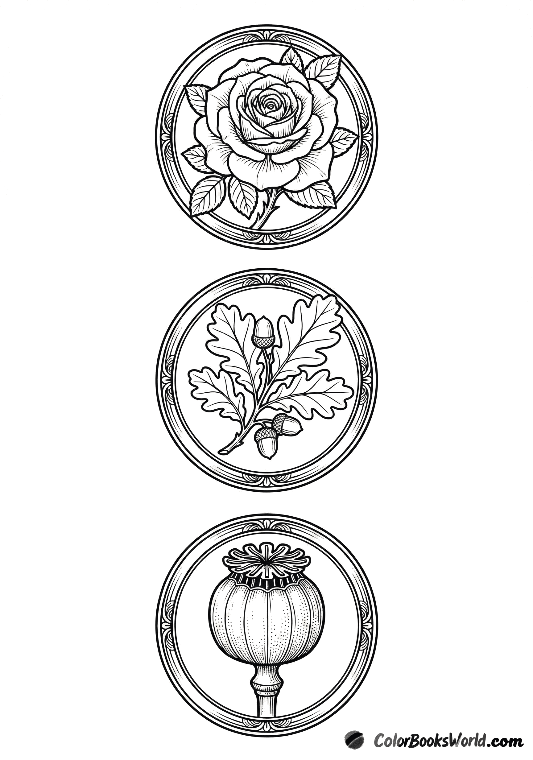 Line art medallions showing a rose, oak leaves with acorns, and a poppy seed pod.