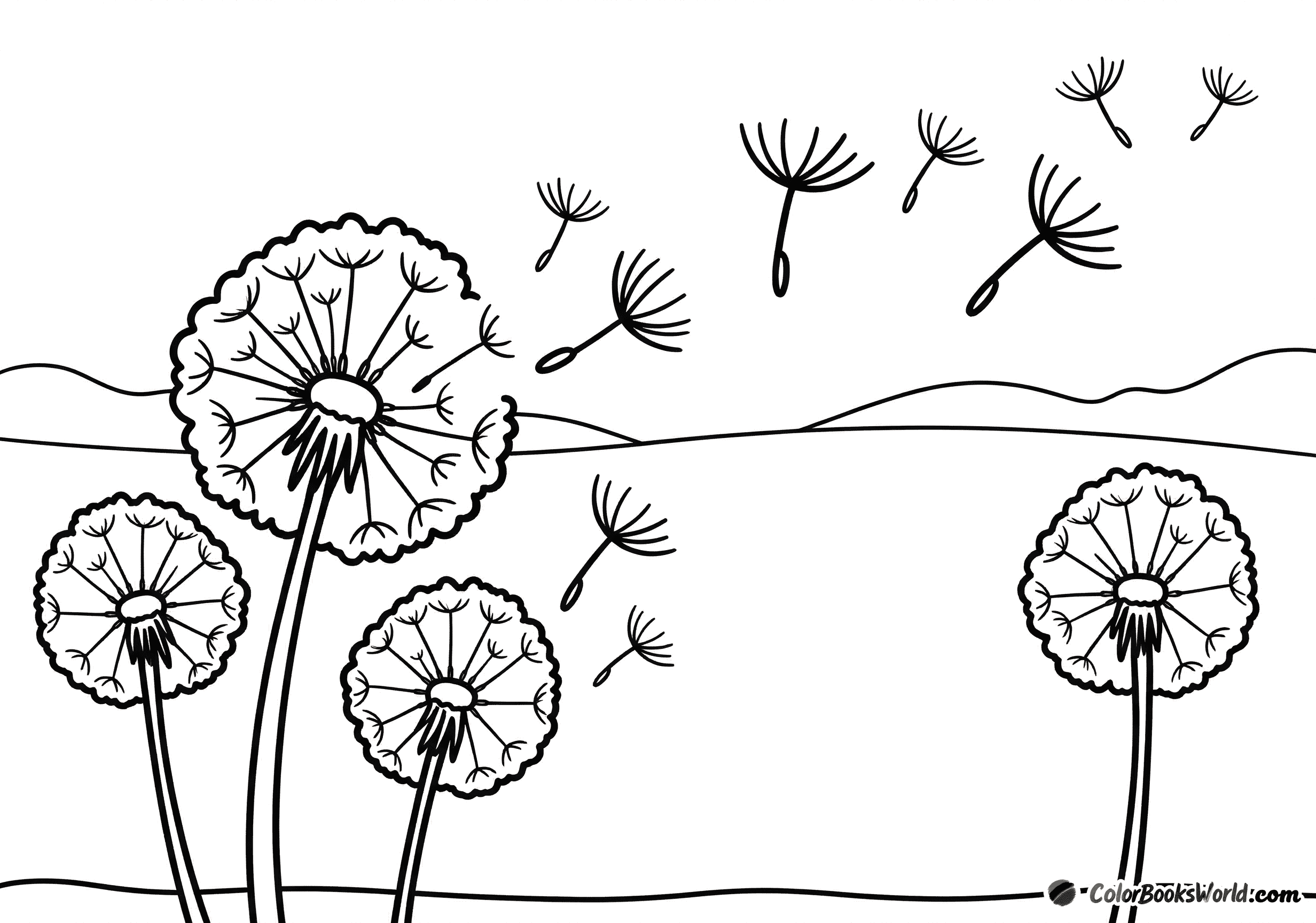 Dandelion seed heads in a meadow with fluffy seeds drifting through the air.