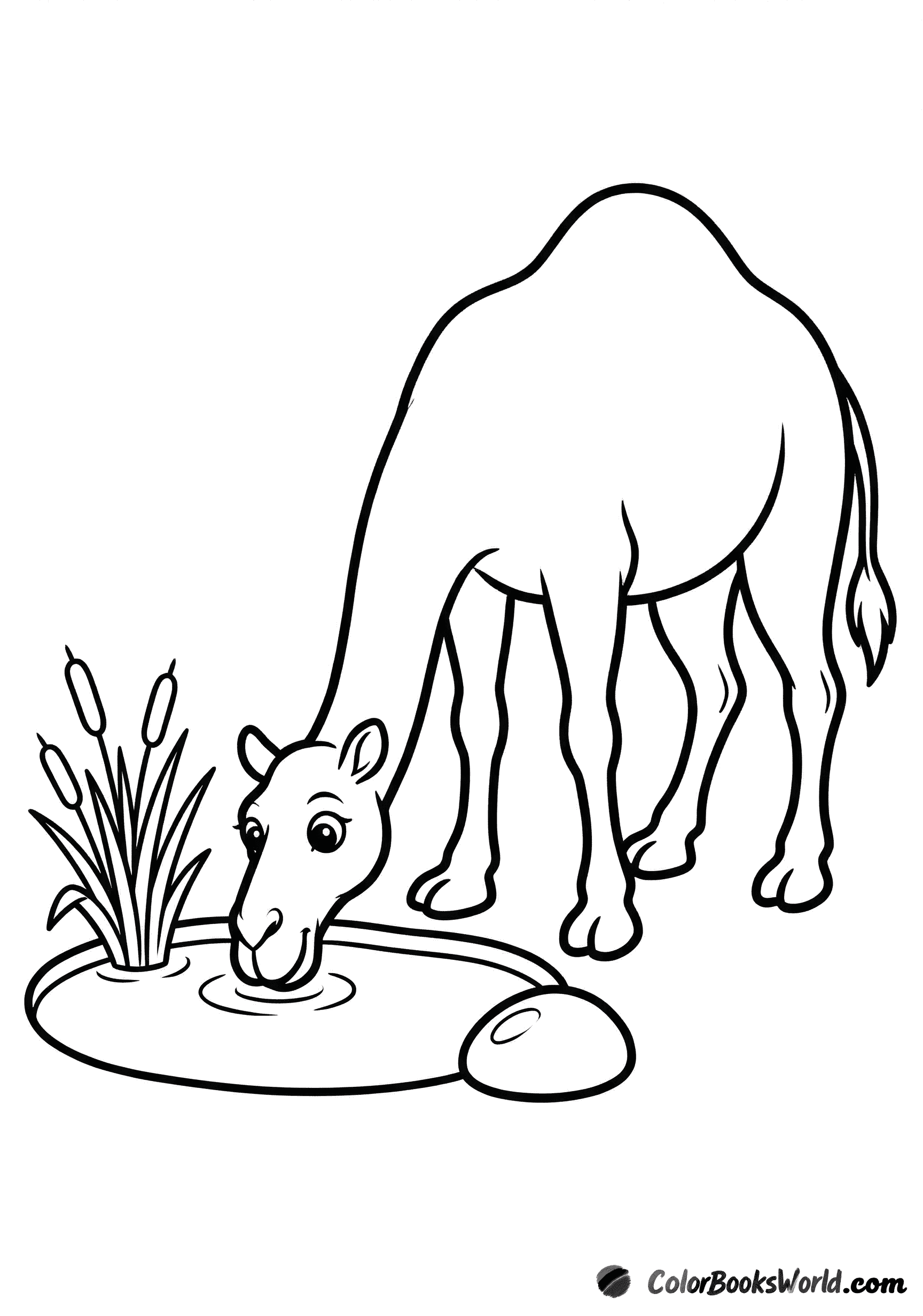 A cartoon dromedary camel bends its neck to drink from a small oasis pool beside reeds and a smooth stone.