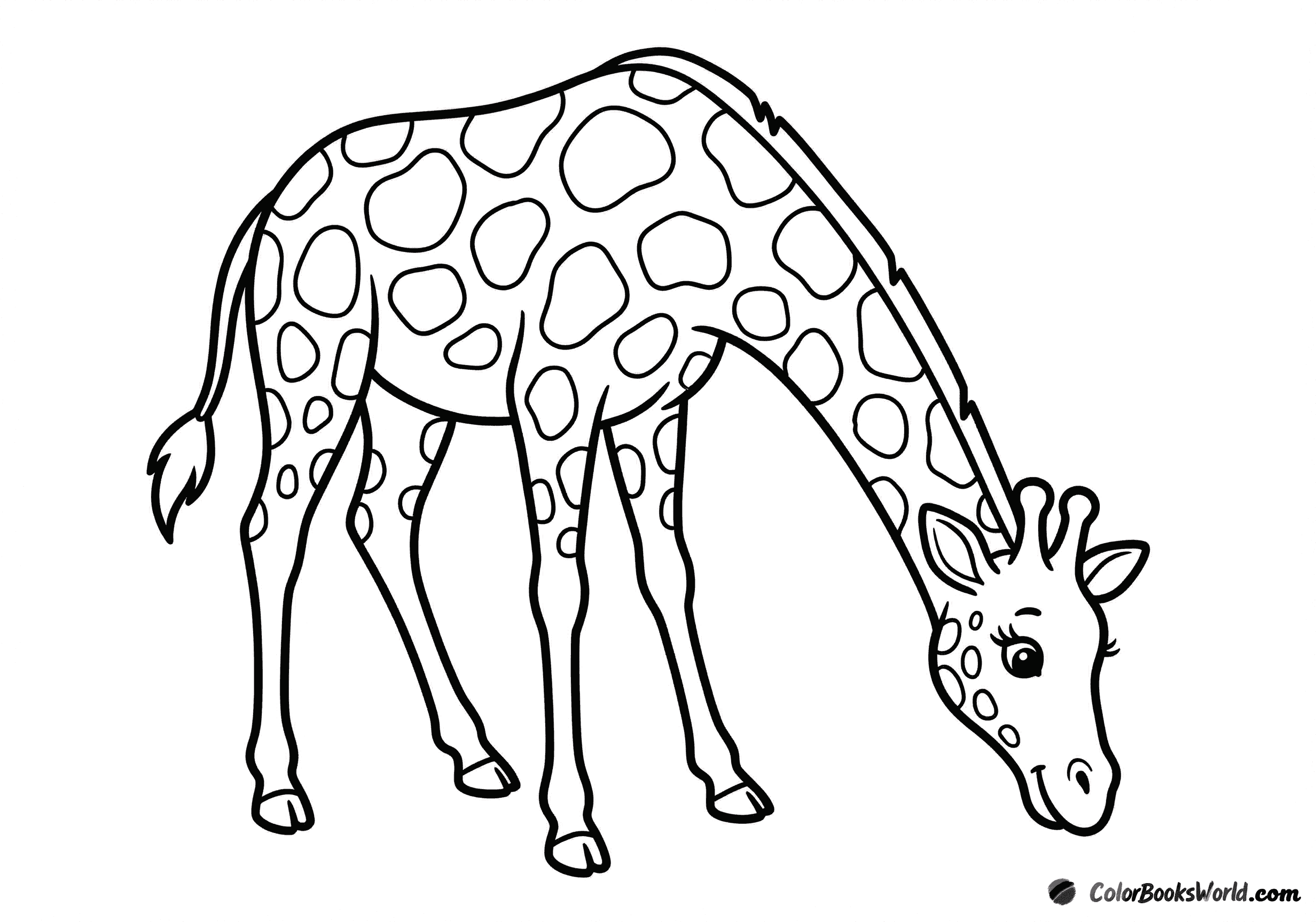 A friendly giraffe bends its long neck down as if drinking, with all four legs visible.