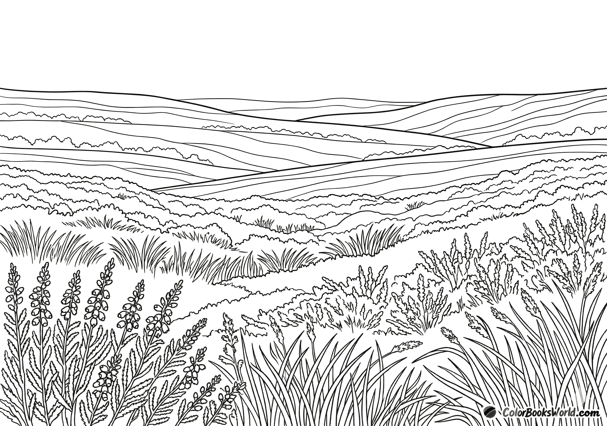 Line art of a heather moorland with blooming heather in the foreground and layered hills behind.