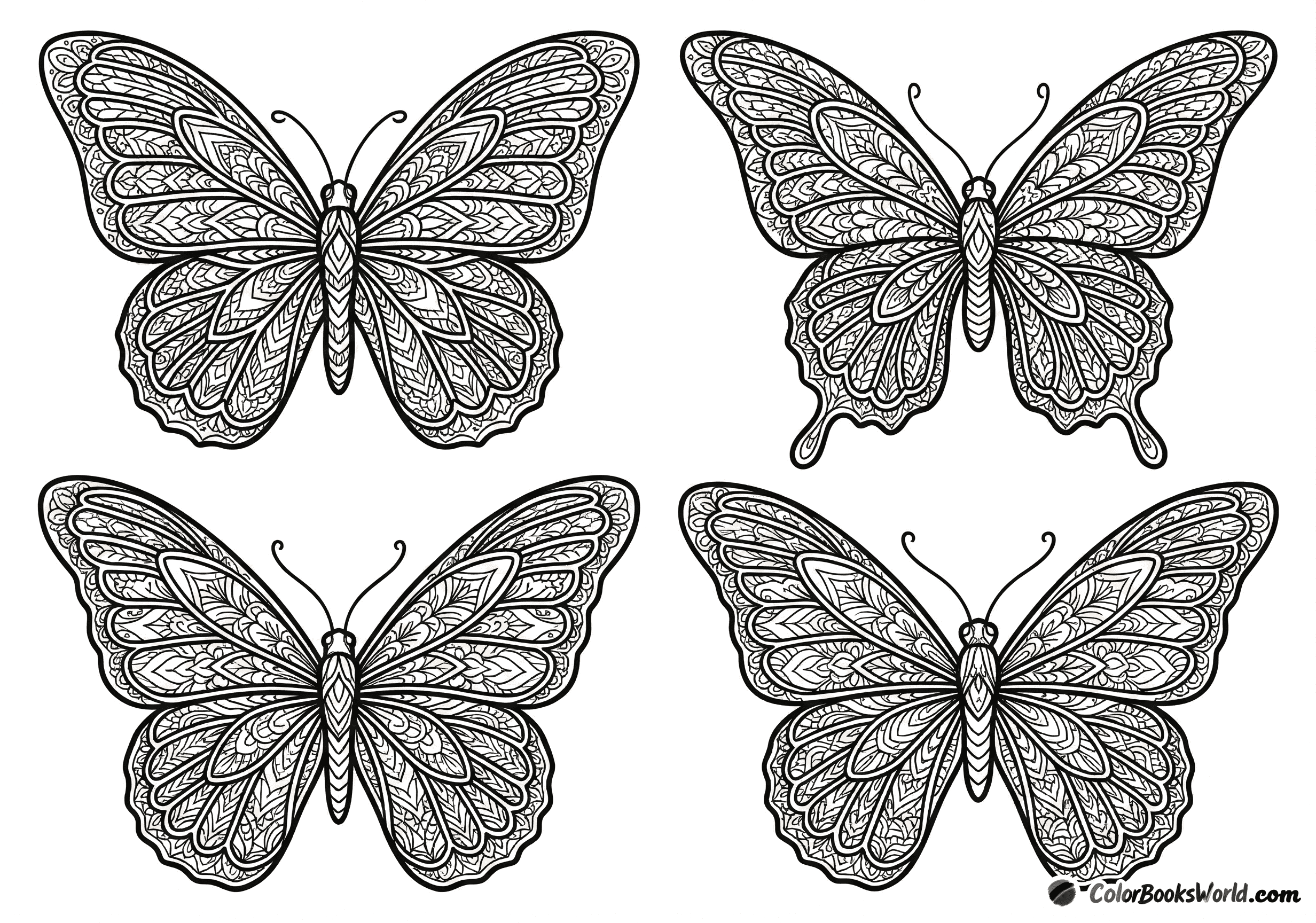 Four large butterflies with wings filled with intricate mandala and botanical patterns.