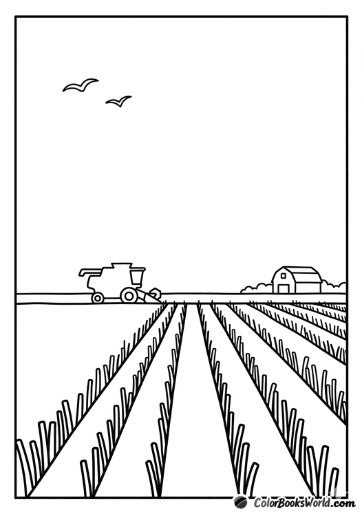 Harvested field with stubble rows, a combine harvester on the horizon, and birds overhead.