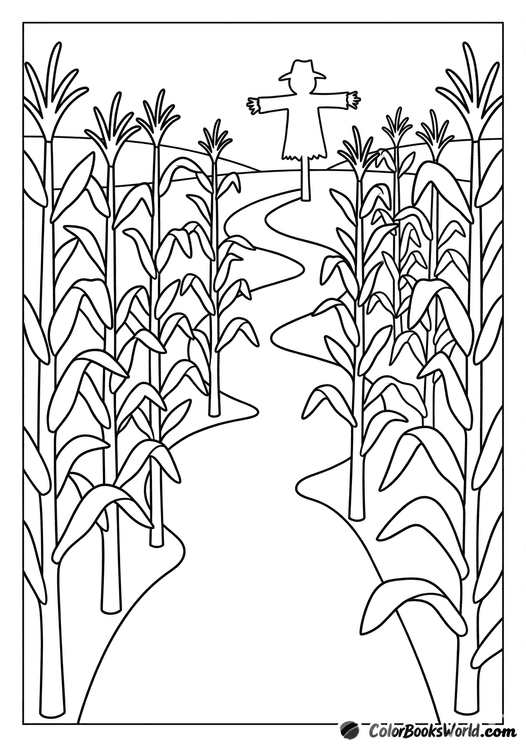A winding path through tall corn leads toward a scarecrow on the horizon.