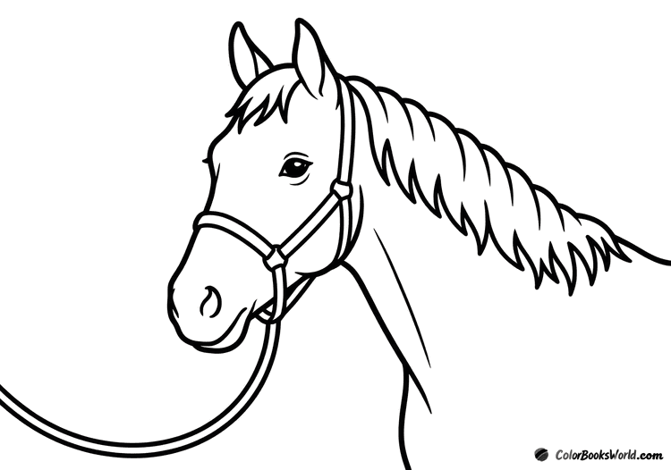 Close-up portrait of a horse head wearing a simple halter, shown in three-quarter view.