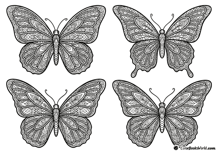 Four large butterflies with wings filled with intricate mandala and botanical patterns.