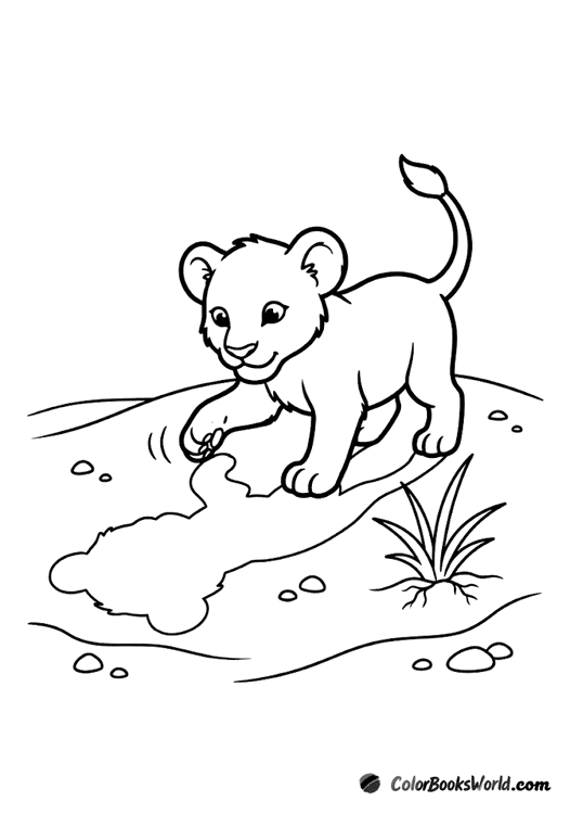 A playful lion cub paws at its shadow on sandy ground dotted with small pebbles.