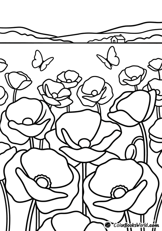 Large poppy flowers in a field with butterflies and a small farmhouse on the horizon.