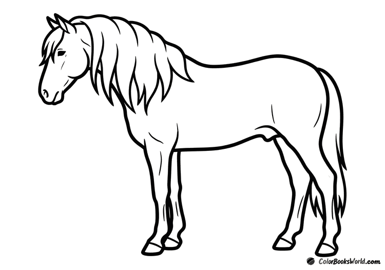 A bay stallion stands in profile with a flowing mane and calm posture.