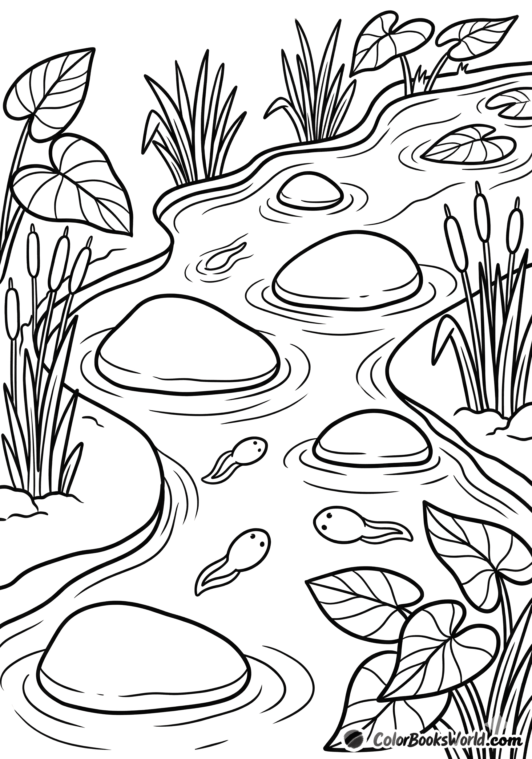 A shallow forest stream with smooth stones, reeds, floating leaves, and three tadpoles.