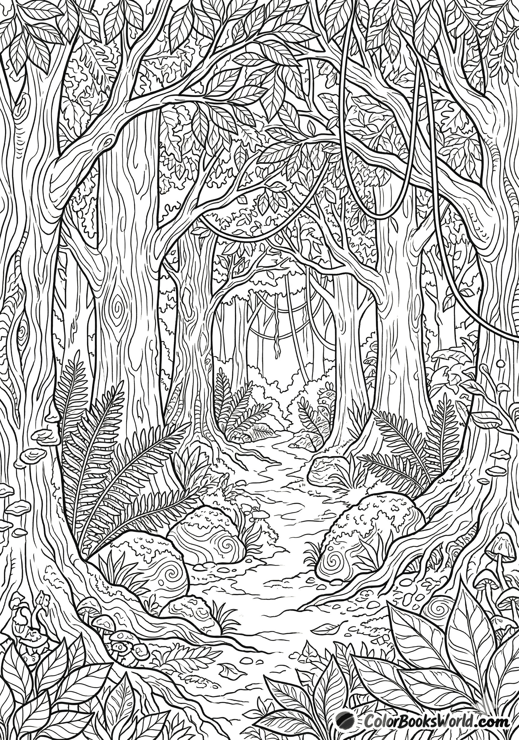 Stregtegning af en snoet skovsti med høje træer, bregner og mossede sten.